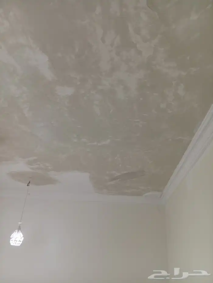 فني دهانات معالجه رطوبه السقف ولجدران 0