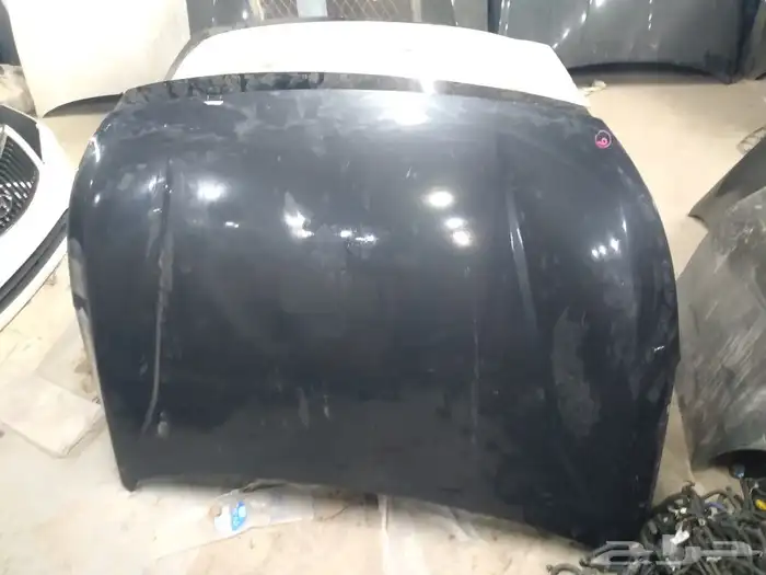 كبوت كادينزا 2017---2020 5