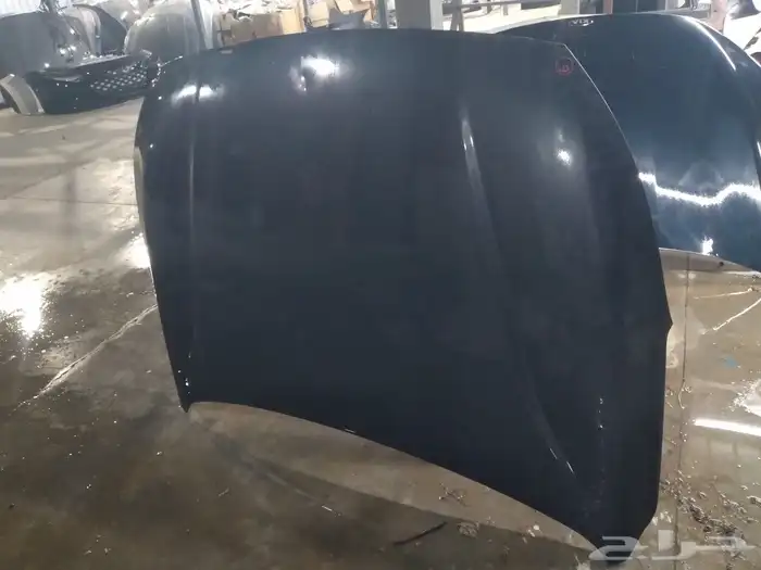 كبوت كادينزا 2017---2020 1