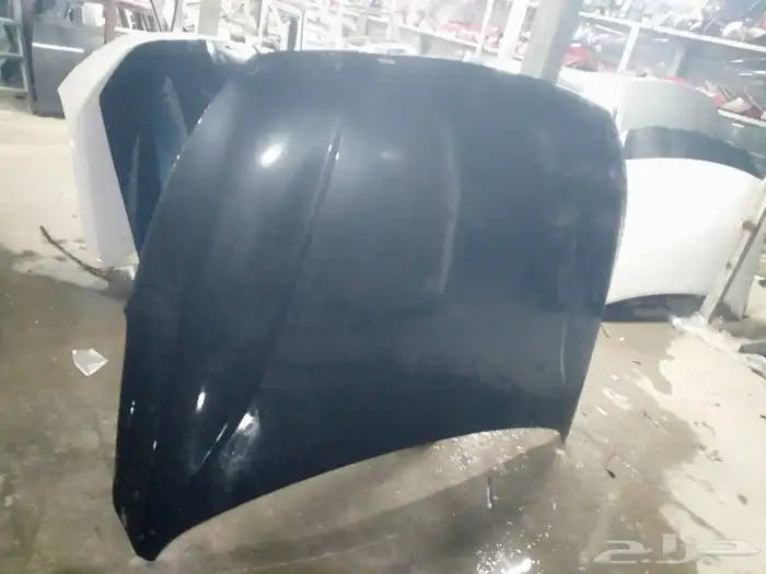 كبوت كادينزا 2017---2020 0