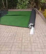 ثايل طبيعي 1