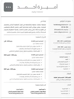 سيرة الذاتيه سيفي CV عرض خاص محدوده لمدة 24 ساعه و ينتهي 5