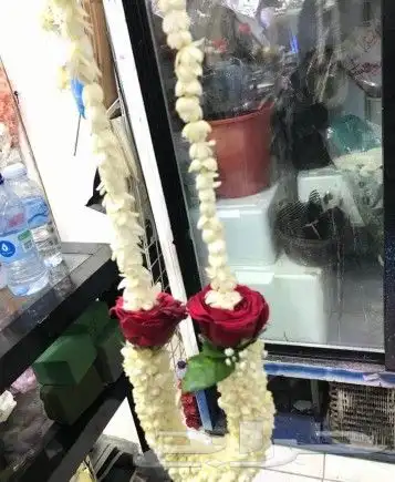 فل جيزاني طبيعي 3
