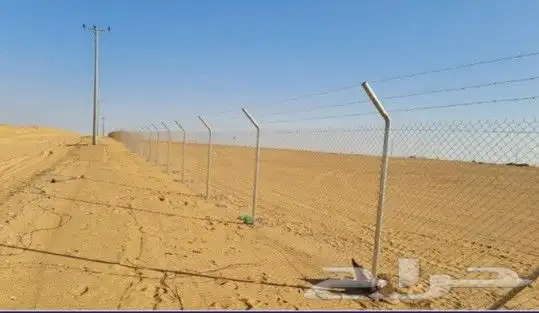 مقاول شبك شبوك ومورد نخل نخيل 4