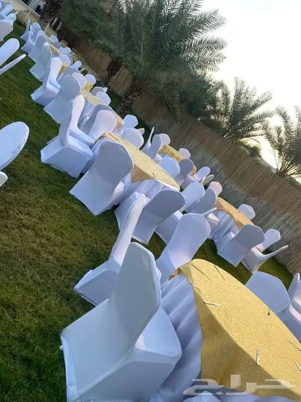 تاجير قهوجين وصبابين رجال ونساء كنب وكراسي زل طاولات ومضلات 9