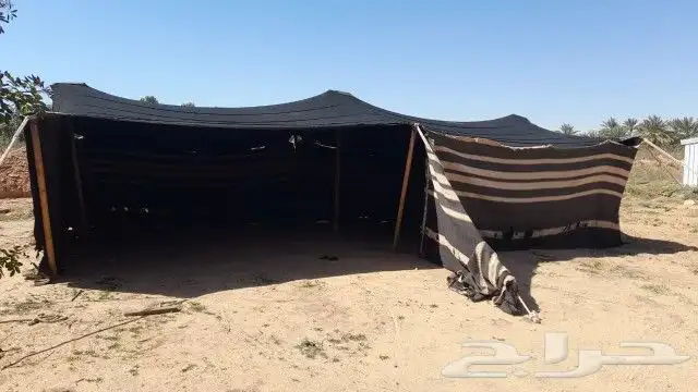 بيت شعر قطبه 1