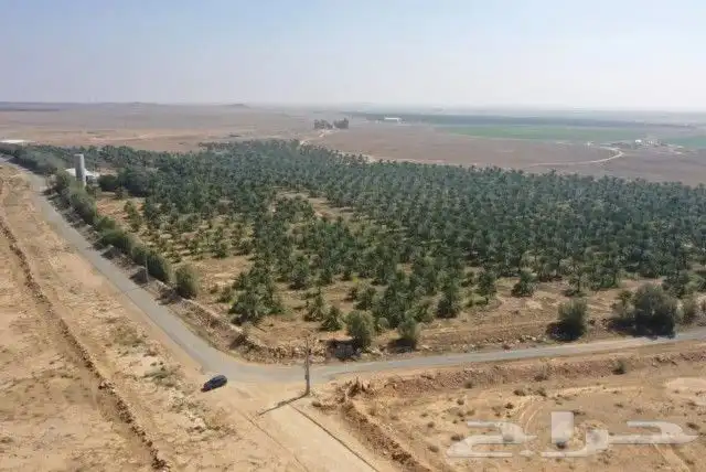مشروع زراعي 4