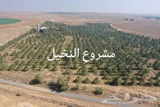 مشروع زراعي 5