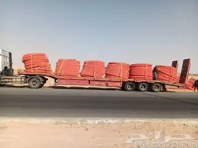 لوابد ساجر شقر لقصيم 0