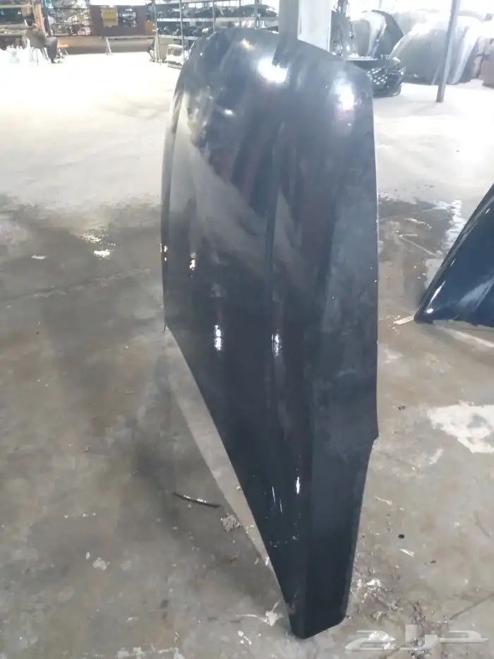 كبوت كادينزا 2017---2020 3