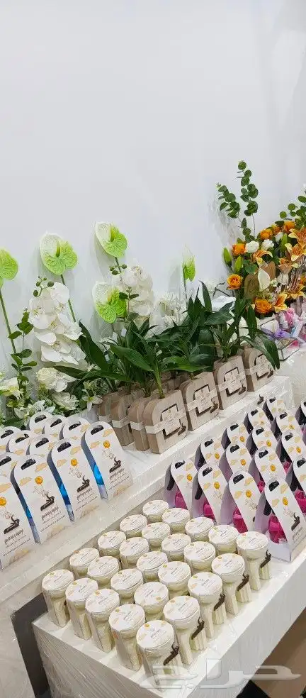 توزيعات مواليد وزواج 4