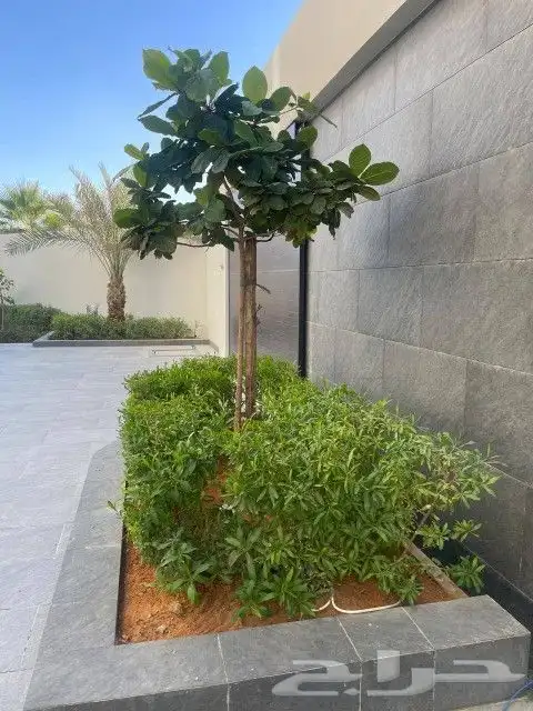 تنسيق حدائق - صيانة دورية - تركيب لاندسكيب - جودة عالية 2