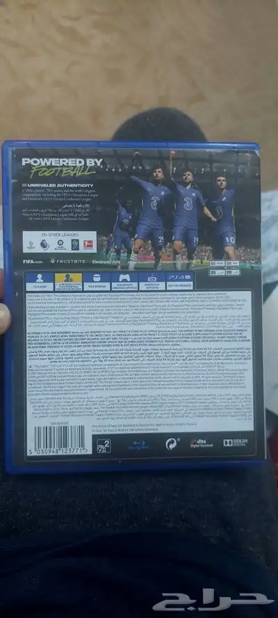 فيفا 2022 2