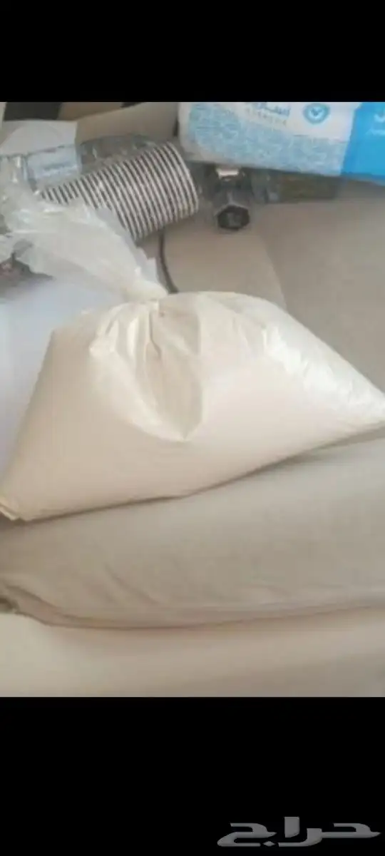 يوجد لدينا لقاح نخل البيع باسعر مناسب 2