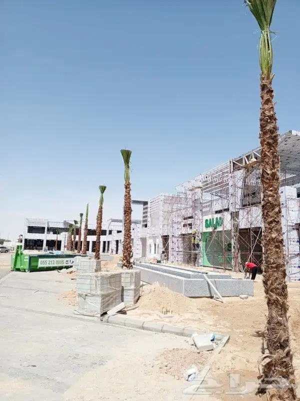جميع انواع النخيل المثمر والزينه بجميع انواعه ومقاسات 3