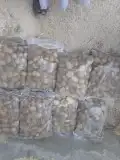 مشتل تنسيق حدائق 9