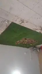 مشتل تنسيق حدائق 1
