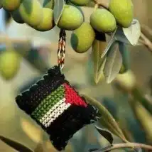 زيت زيتون فلسطيني قطفة أولى جديد بكر ولكل المناطق 3