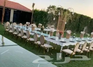 حفلات ابو محمد 8