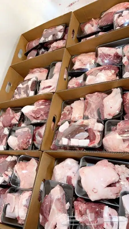 حاشي ذبح يوميا الكيلو ب55 0