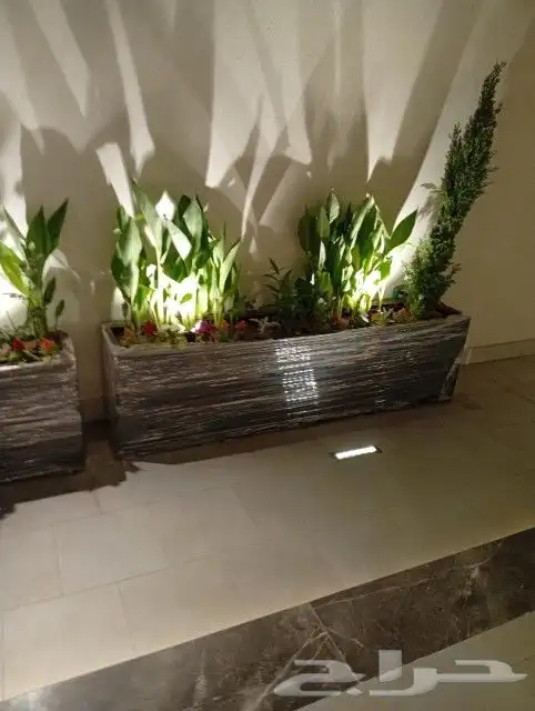 احواض فيبر جلاس جاهزة 5