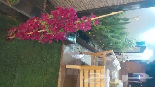مشتل تنسيق حدائق 4