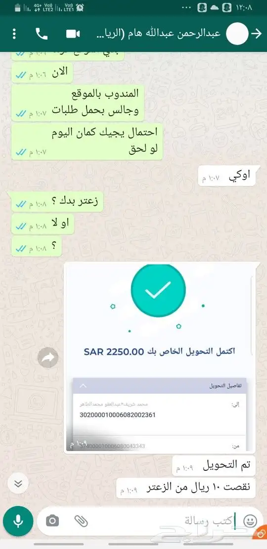 زيت زيتون فلسطيني قطفة أولى جديد بكر ولكل المناطق 17