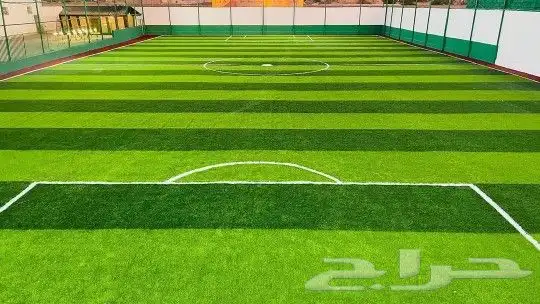 متخصص في مجال تركيب العشب الصناعي وتركيب بديل الخشب الجداري 6