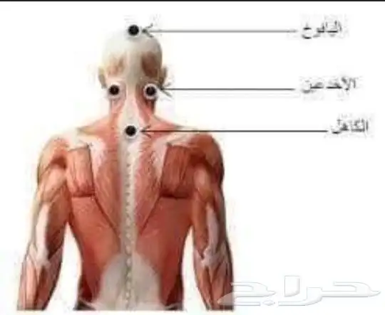 ابو عبدالله الخوارزمي للحجامة والمساج وفك الابهر 4