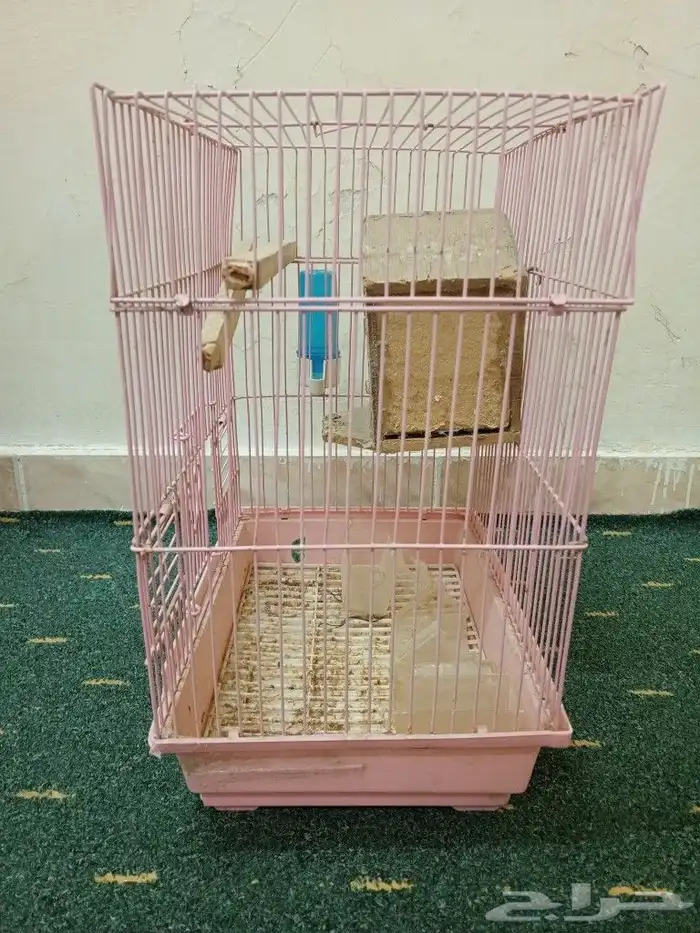 قفص الطيور 3