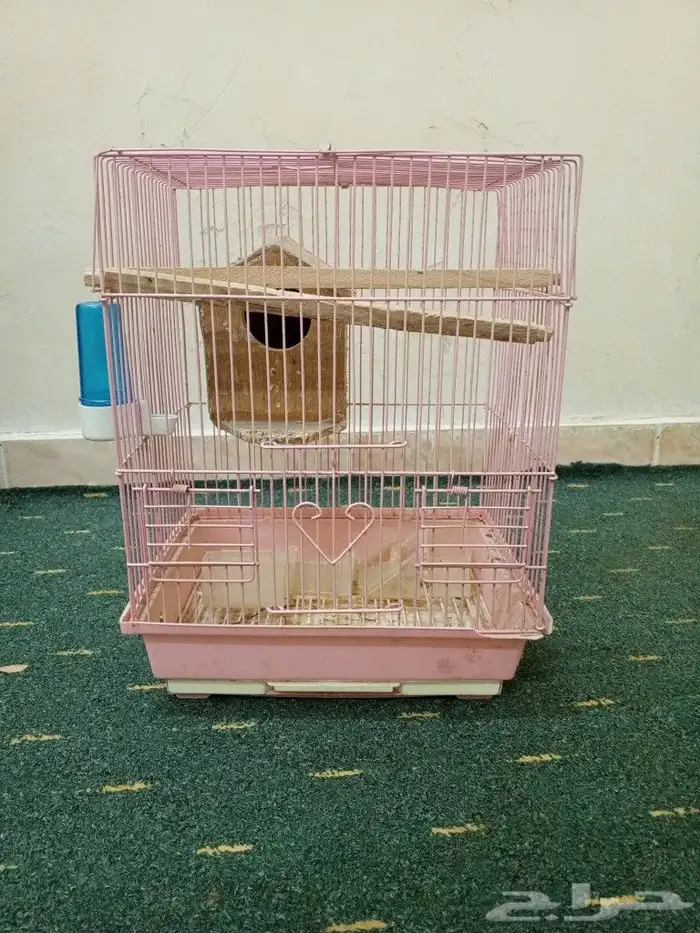 قفص الطيور 0