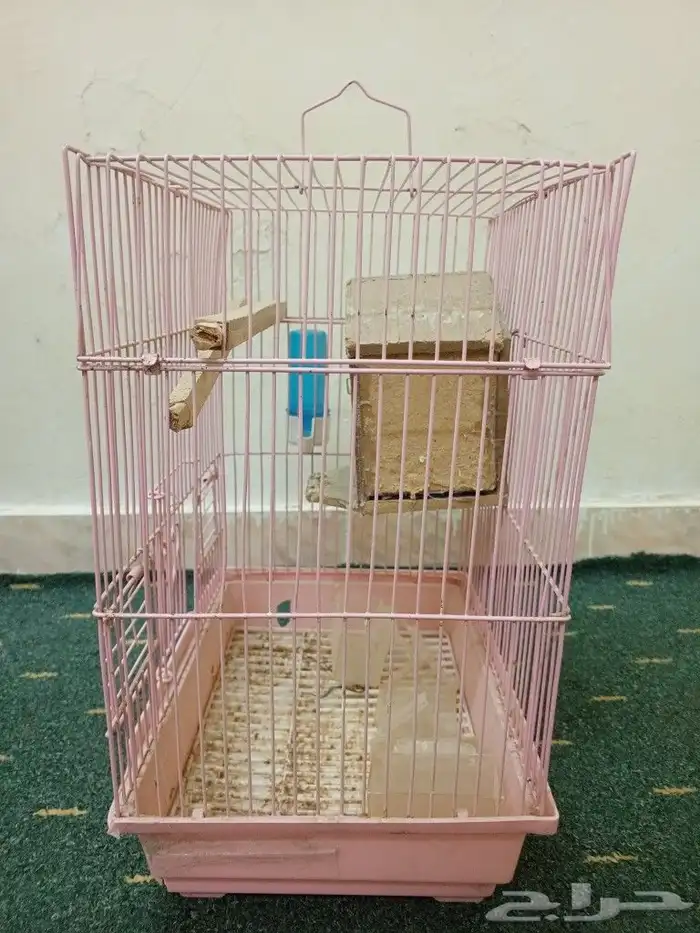 قفص الطيور 1