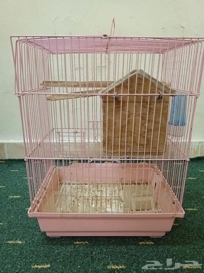 قفص الطيور 2