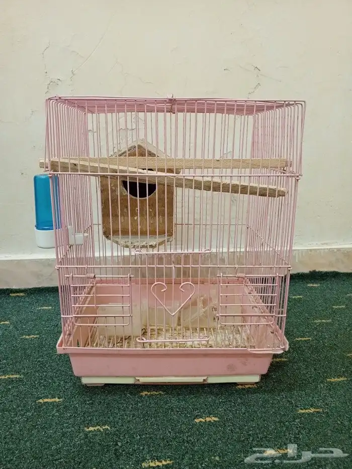 قفص الطيور 4