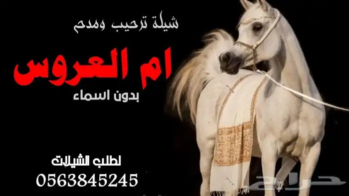 استديو زفات وشيلات شيلات تخرج شيلات زواجات مواليد 1
