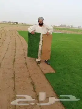 تنسيق حدائق زراعة 3