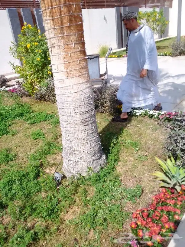 تنسيق حدائق 1