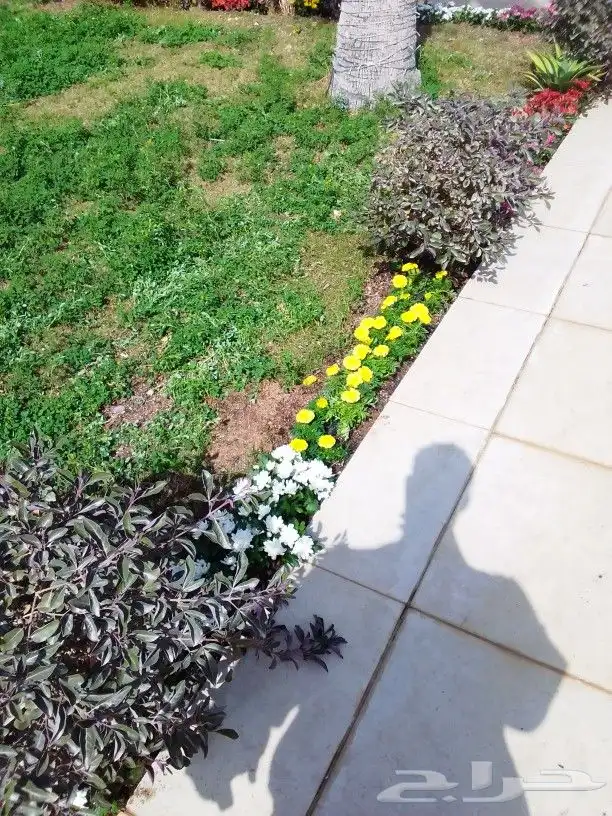 تنسيق حدائق 2