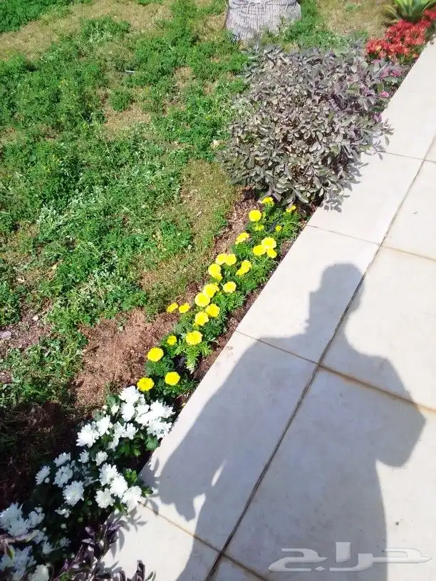 تنسيق حدائق 3