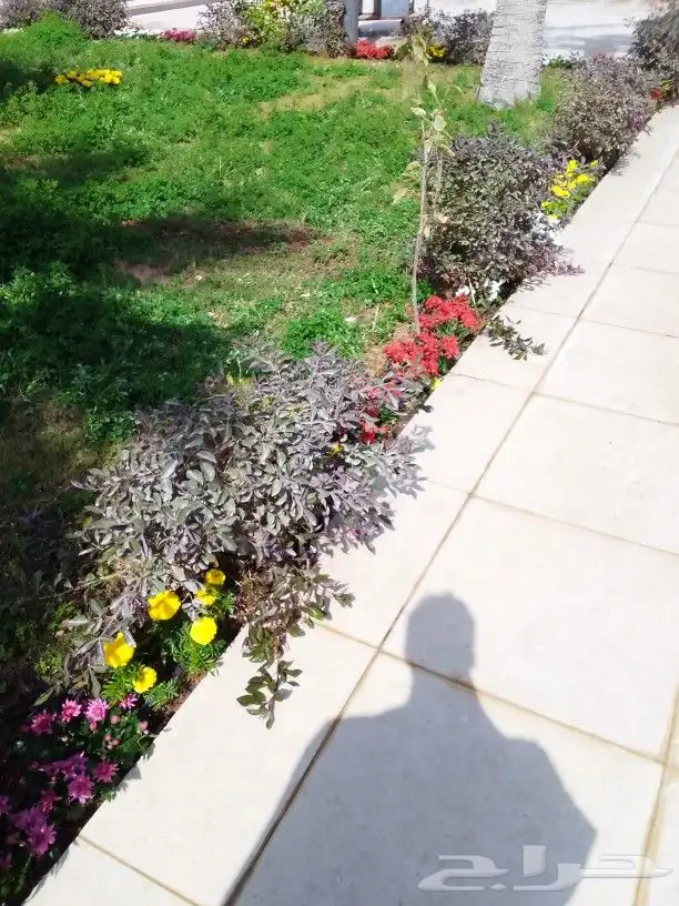 تنسيق حدائق 6