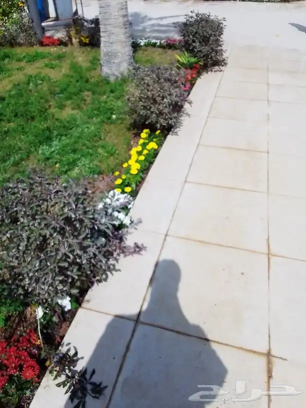 تنسيق حدائق 4