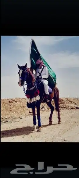 طلعات داخل وخارج الرياض 3
