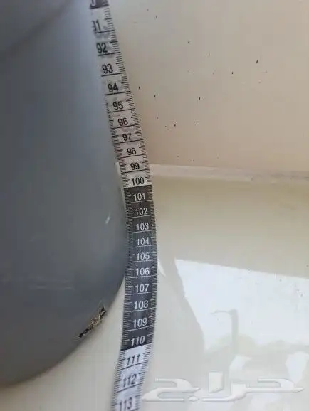 نبتة داخلية نادرة عالميا( فيلوديندرون فلوريدا بيوتي) للبيع 6