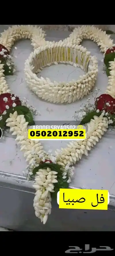 فل صبيا  جيزانيات_جيزانيه_جازان_ابوعريش__صامطة_صامطه_الطوال 7