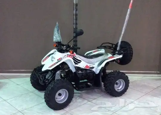 دباب بانوير 100 تايواني 0