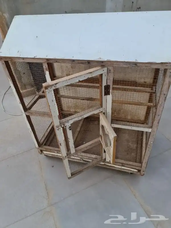 للبيع شبك طيور 1