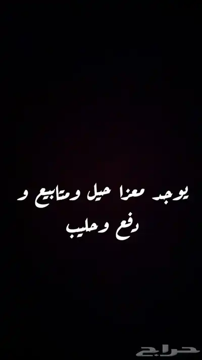 غنم 0