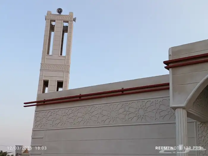 لياسة بديل الحجر 0
