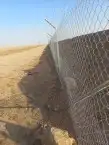 مقاول شبوك وتوريد وزراعة النخيل بأقل الأسعار 1