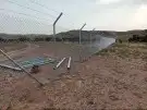 مقاول شبوك وتوريد وزراعة النخيل بأقل الأسعار 3